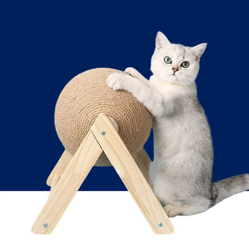 Cat Scratching Ball Toy  Board Grinding Paws Toys WTN Essentials
