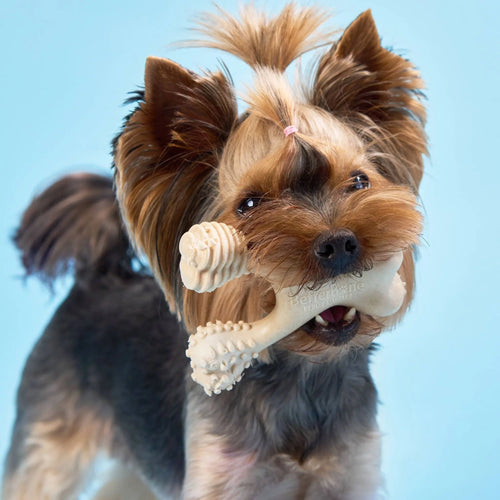 BetterBone SOFT Durability CHEW TOY: Natural Plant-Based Ingredients, Perfect for Teething Puppies, Senior Dogs & Gentle Chewers BetterBone All Natural Eco-Friendly Dog Chews & Bones