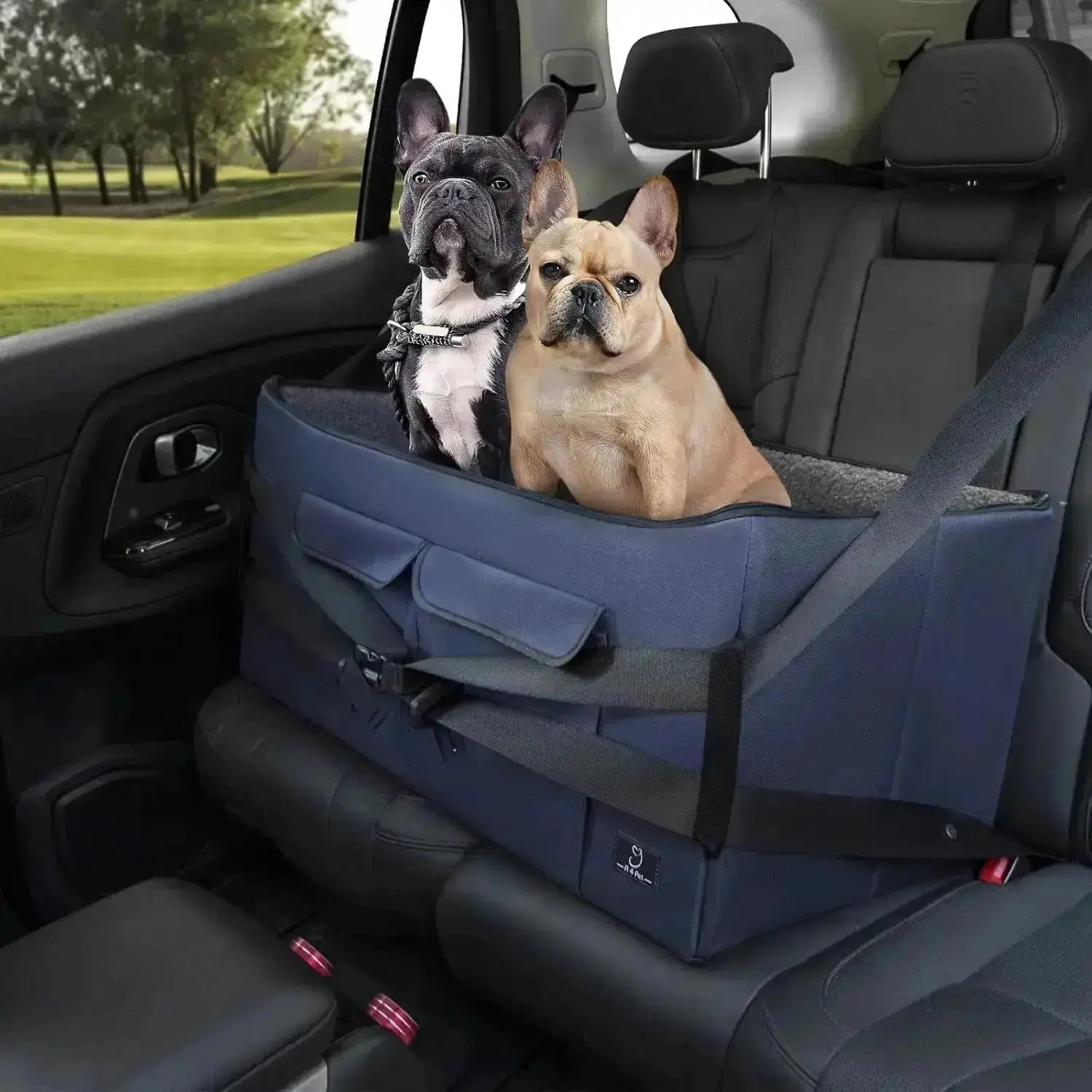 Dog Car Seat Booster for Small Dogs Under 25lbs, Travel Safety Seat with Leash by Wags & Whiskers Pet Supply