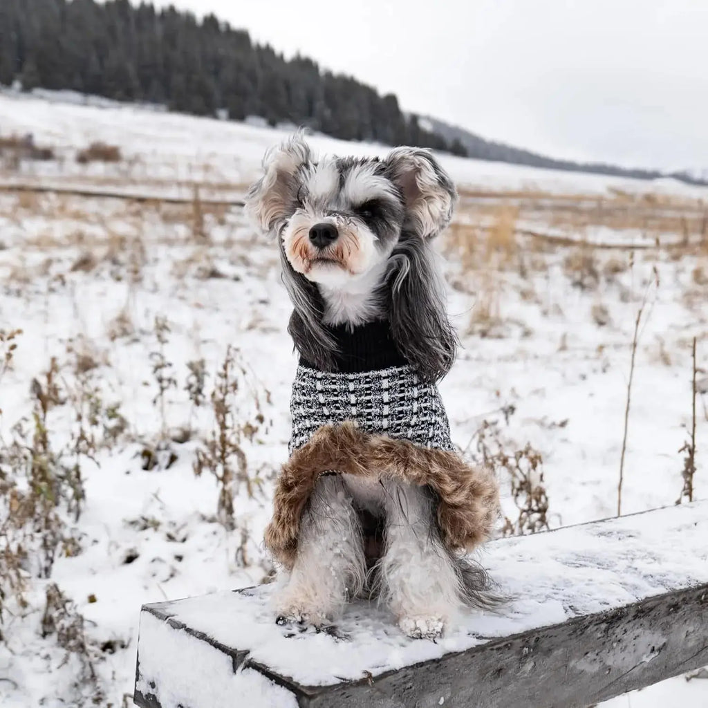 Dog Sweater Cloak Turtleneck Knit Coat XS-XL Small Dogs Winter Warm Wags & Whiskers Pet Supply