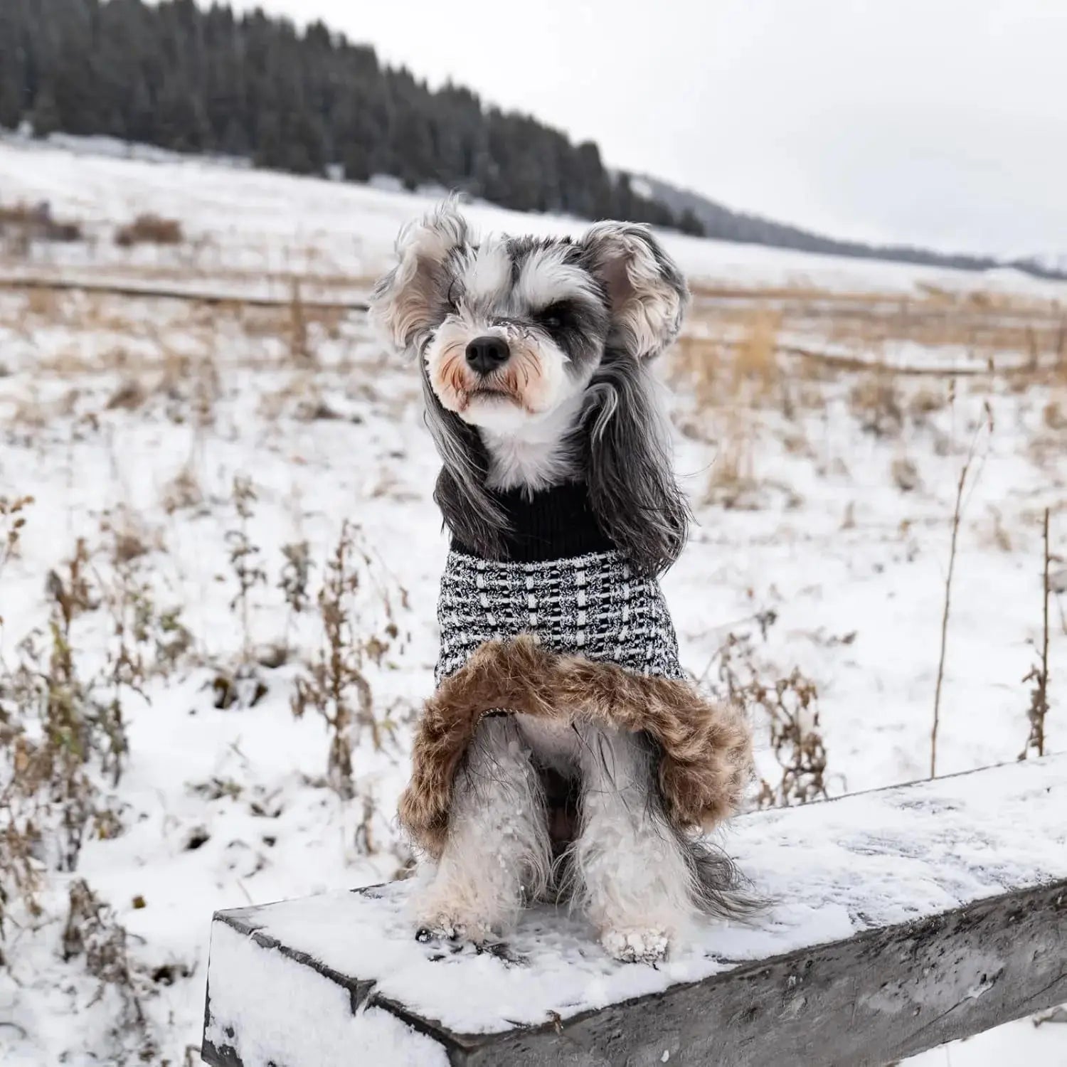 Dog Sweater Cloak Turtleneck Knit Coat XS-XL Small Dogs Winter Warm Wags & Whiskers Pet Supply