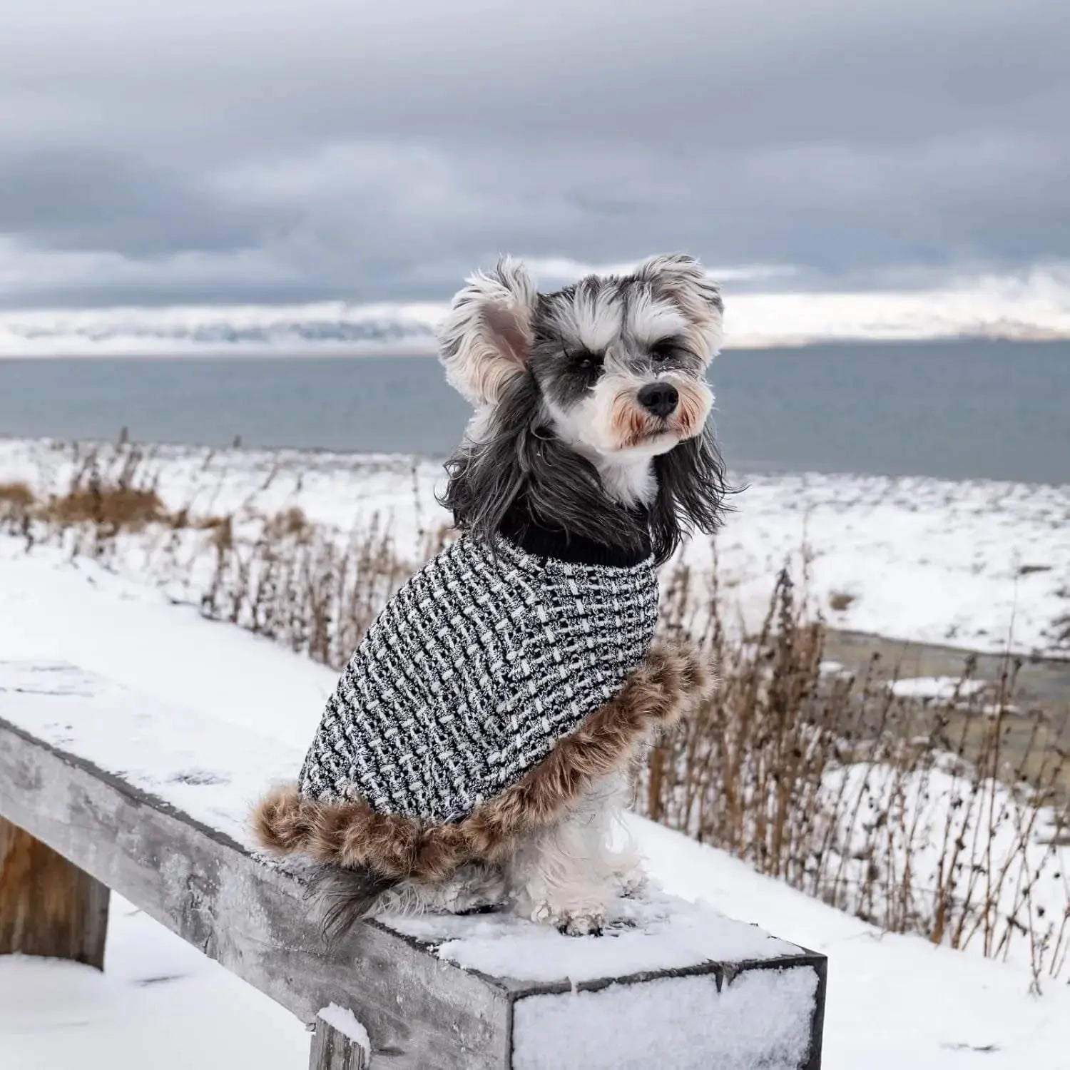 Dog Sweater Cloak Turtleneck Knit Coat XS-XL Small Dogs Winter Warm Wags & Whiskers Pet Supply