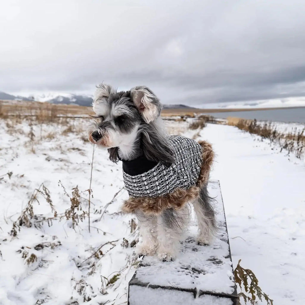 Dog Sweater Cloak Turtleneck Knit Coat XS-XL Small Dogs Winter Warm Wags & Whiskers Pet Supply