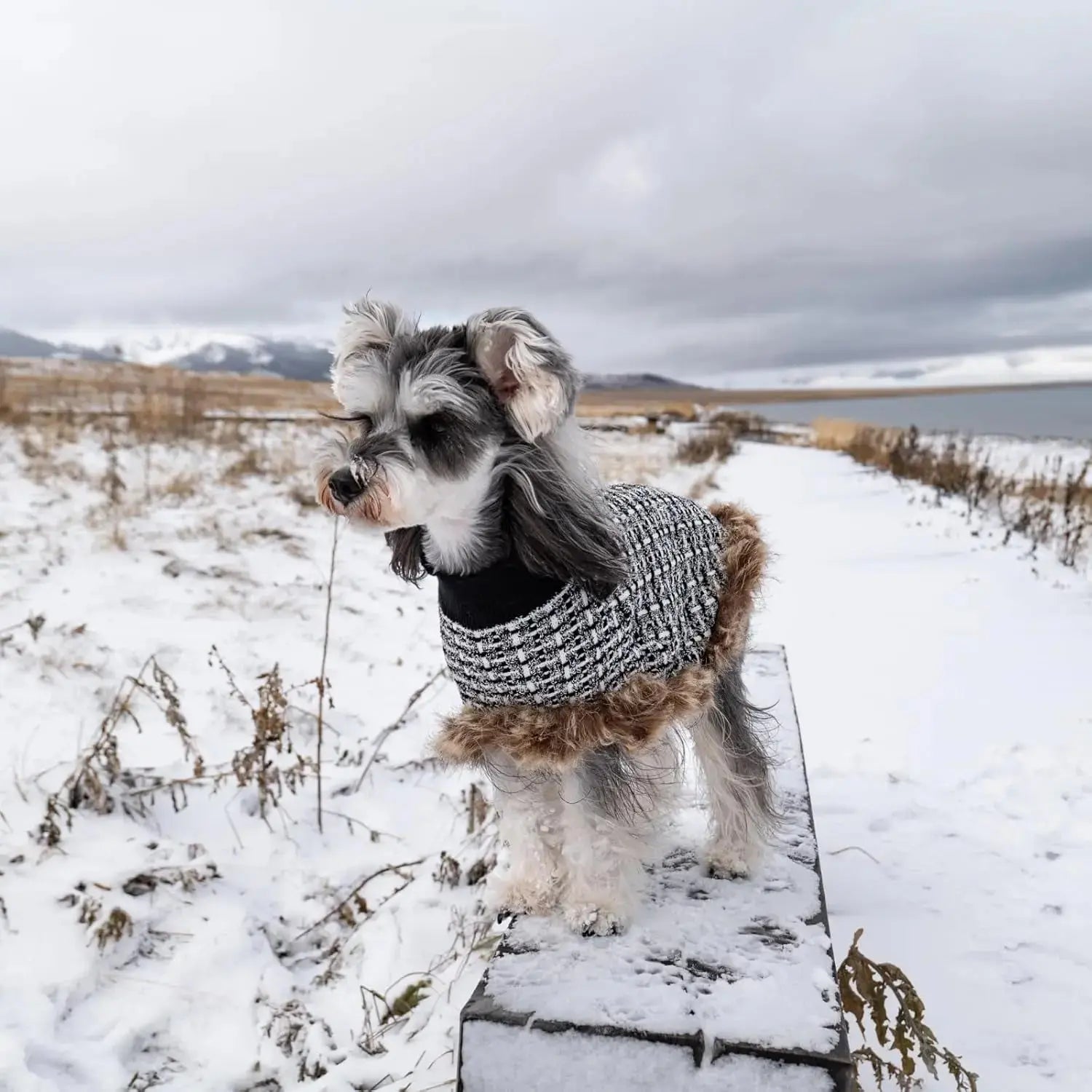 Dog Sweater Cloak Turtleneck Knit Coat XS-XL Small Dogs Winter Warm Wags & Whiskers Pet Supply