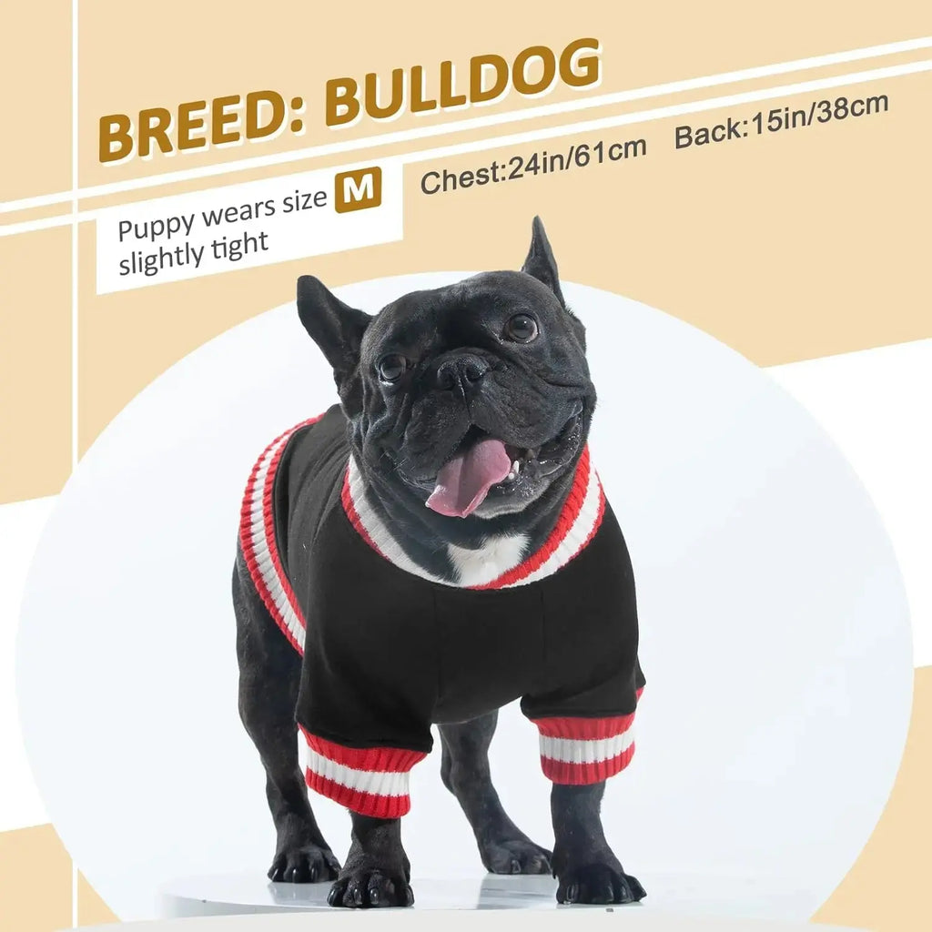 Dog Winter Fleece Pullover Sweater, Soft Warm Hoodie for Small to Medium Dogs Wags & Whiskers Pet Supply