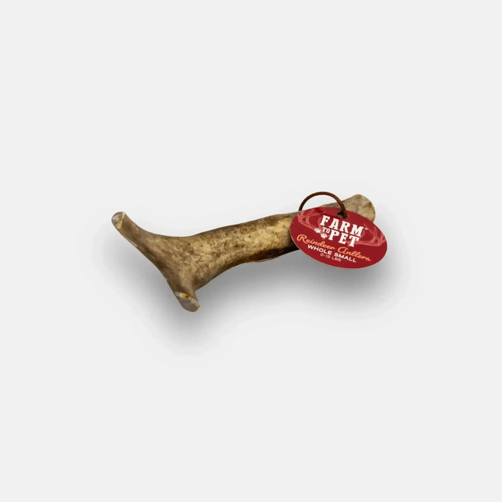 Reindeer Antler Dog Chews | Organic Chews for Dogs by Farm To Pet