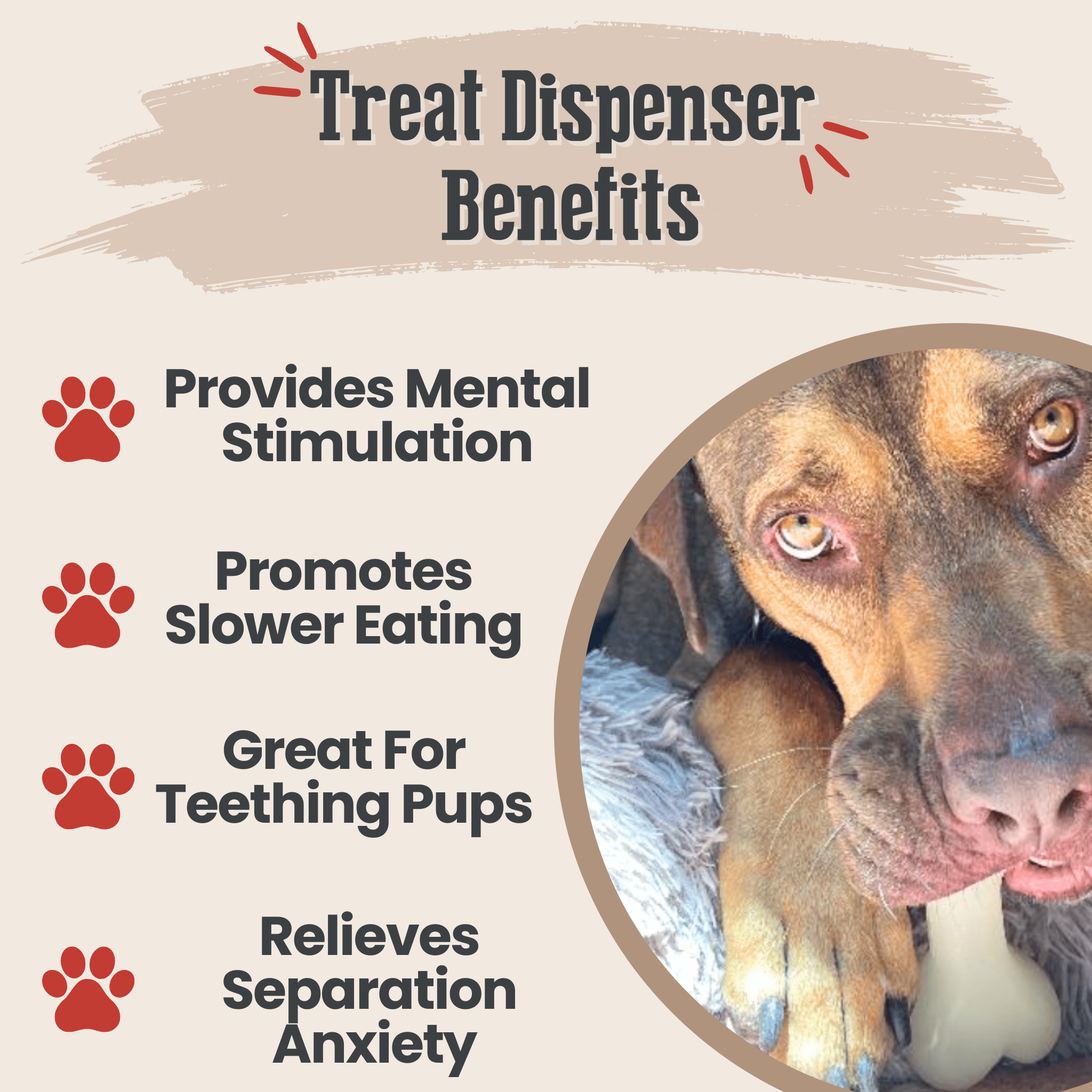 Dog Treat Dispensers