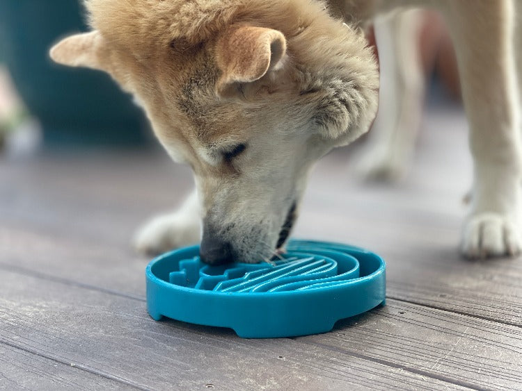 Baja Design eTray - Shallow Slow Feeder Dog Bowl for Enrichment | USA Made