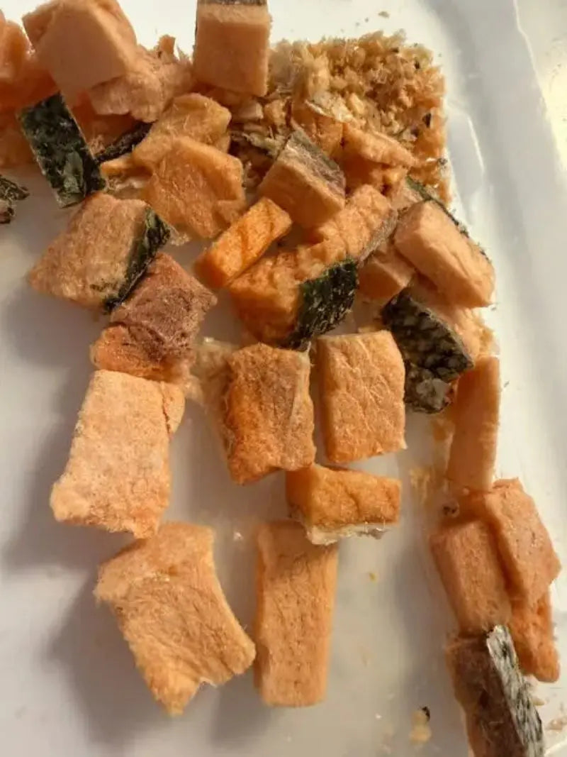 Freeze Dried Raw Salmon Bougie Azz Dog, LLC