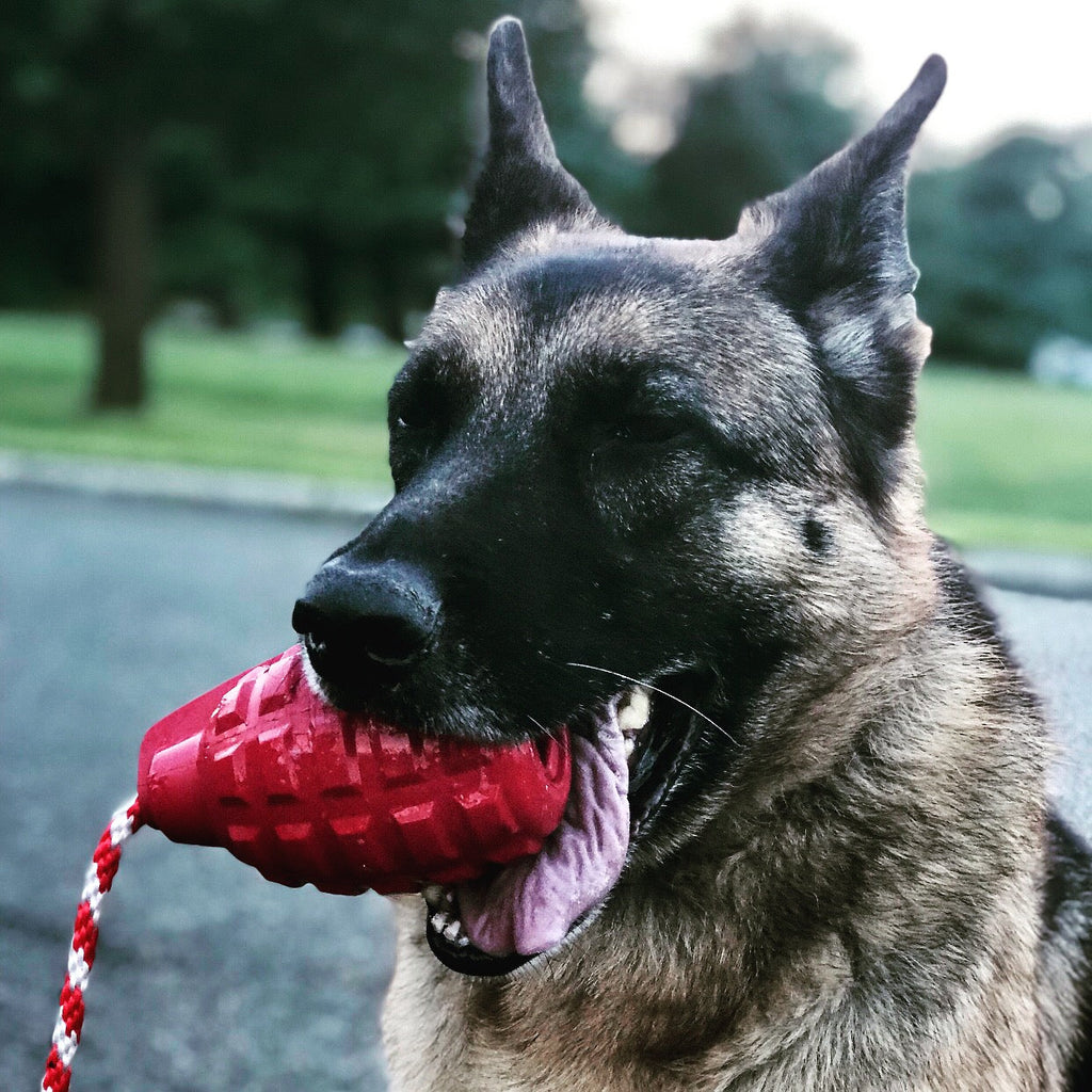 USA-K9 Grenade Rubber Dog Chew Toy | K9 Handler Reward Toy | Blue | USA Made