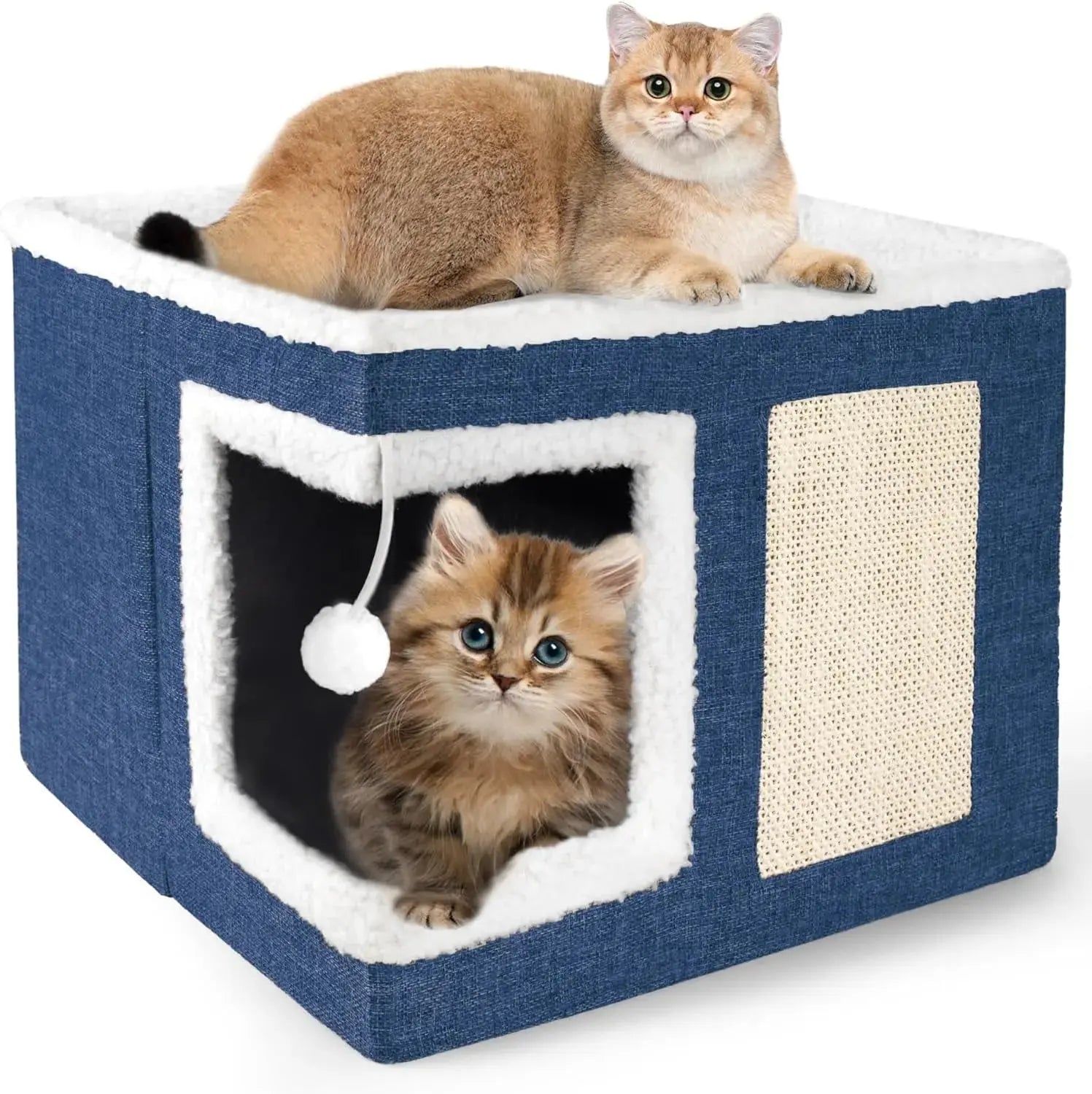 Indoor Cat House Cube with Bed, Scratch Pad & Toy Ball, Foldable Condo Wags & Whiskers Pet Supply