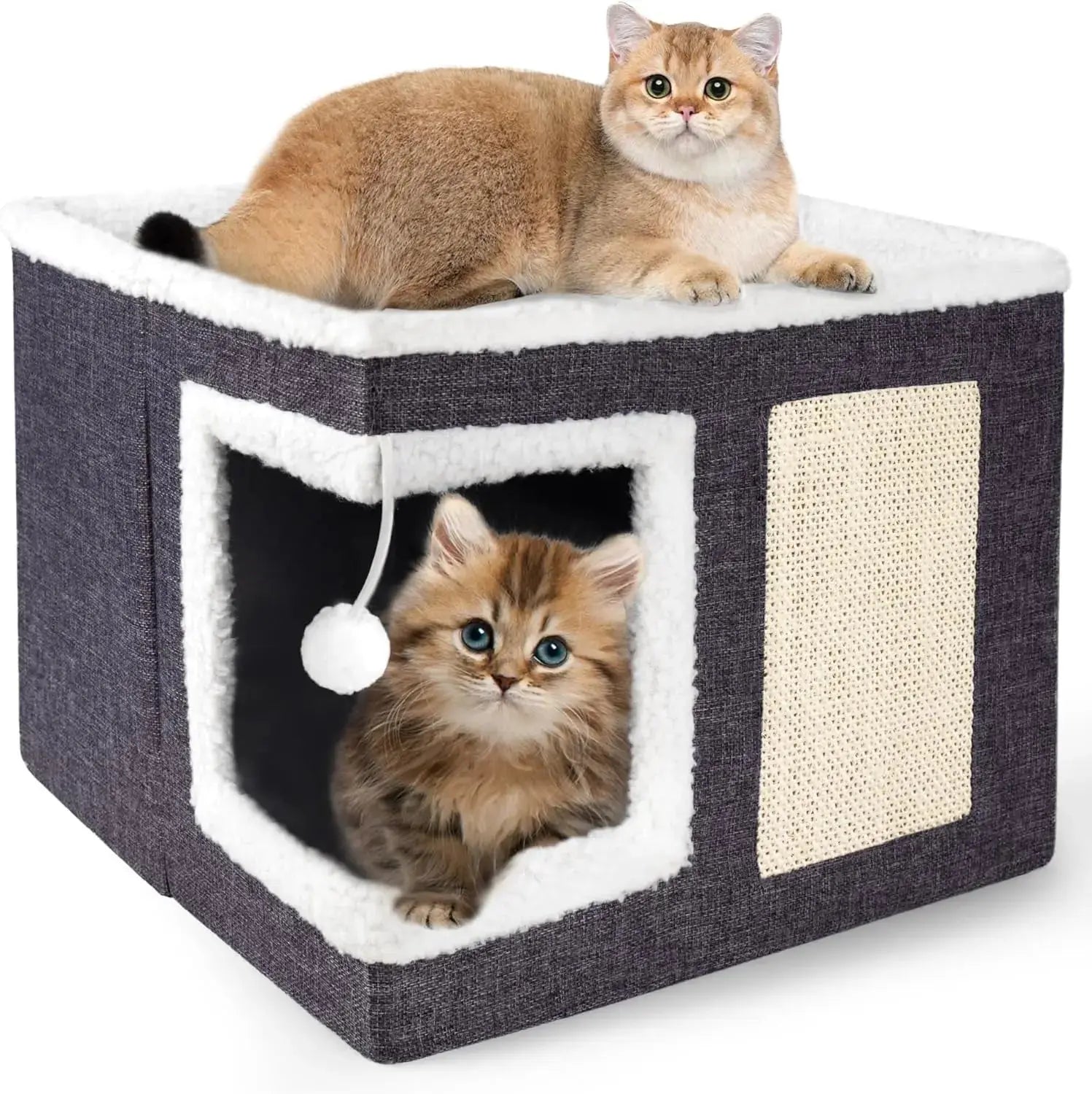 Indoor Cat House Cube with Bed, Scratch Pad & Toy Ball, Foldable Condo Wags & Whiskers Pet Supply