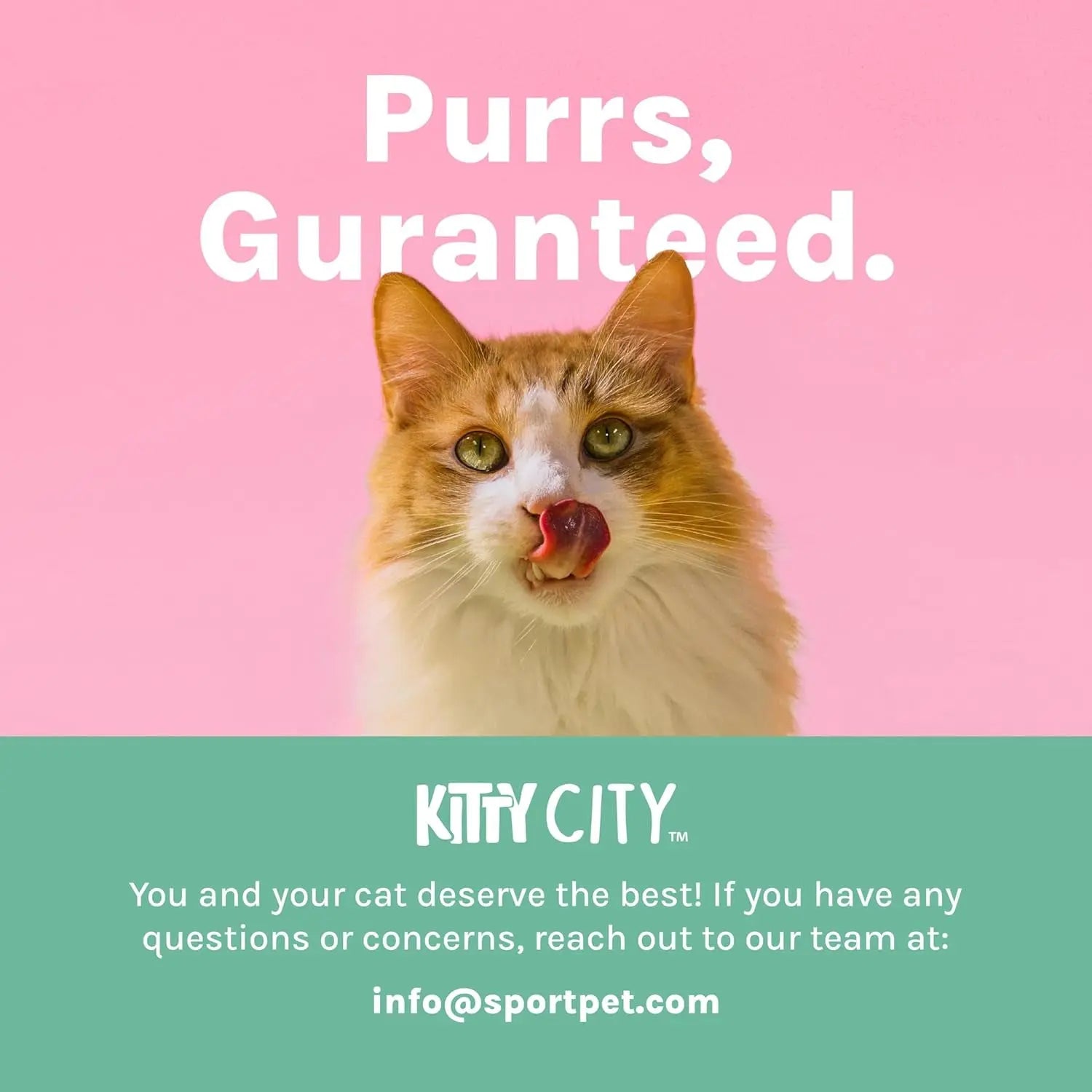 Kitty City Outdoor Catio Furniture and Play Kits for Cats, Outdoor Mega Kit Wags & Whiskers Pet Supply