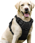 No Pull Dog Harness Reflective Adjustable Oxford Vest Dogs Control (All Sizes) Wags & Whiskers Pet Supply