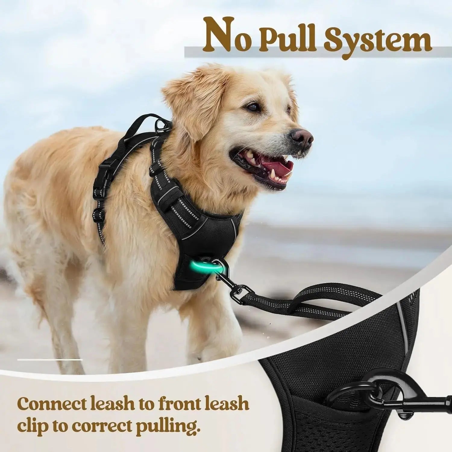 No Pull Dog Harness Reflective Adjustable Oxford Vest Dogs Control (All Sizes) Wags & Whiskers Pet Supply