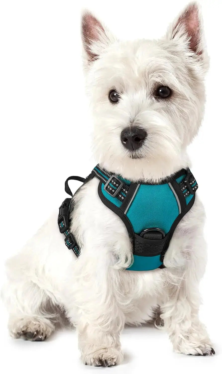No Pull Dog Harness Reflective Adjustable Oxford Vest Dogs Control (All Sizes) Wags & Whiskers Pet Supply