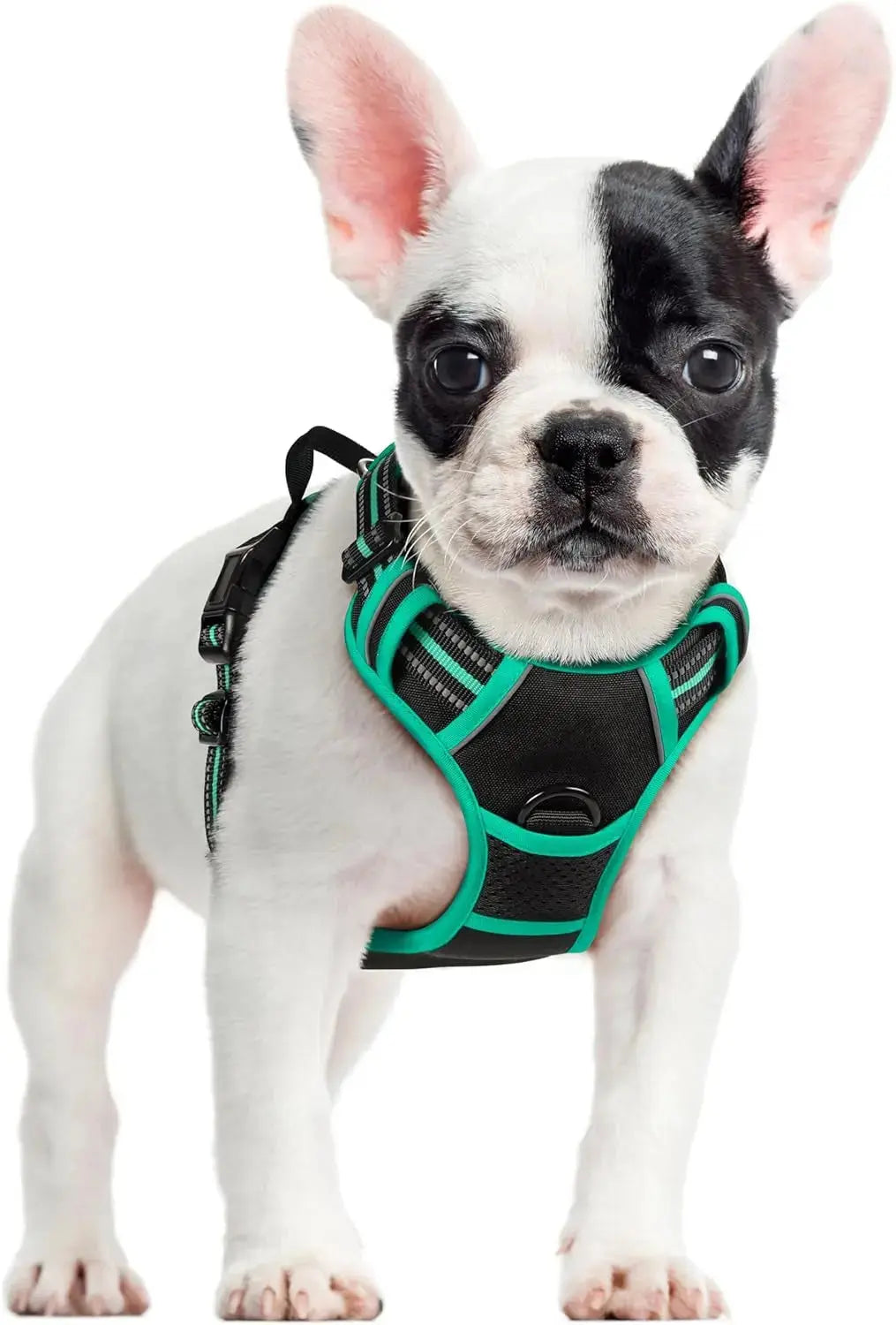 No Pull Dog Harness Reflective Adjustable Oxford Vest Dogs Control (All Sizes) Wags & Whiskers Pet Supply