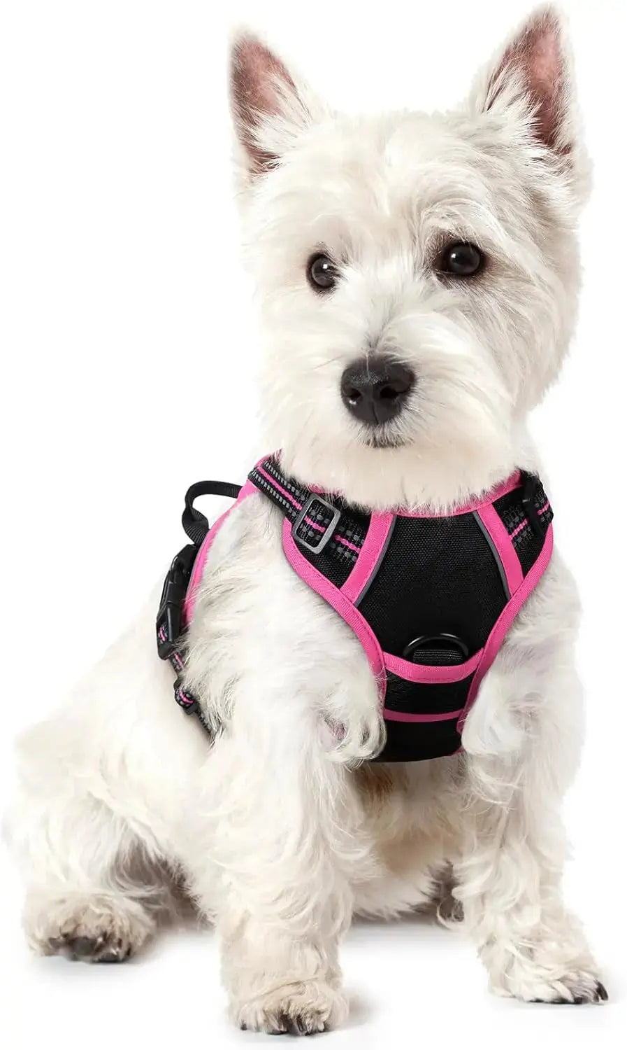 No Pull Dog Harness Reflective Adjustable Oxford Vest Dogs Control (All Sizes) Wags & Whiskers Pet Supply