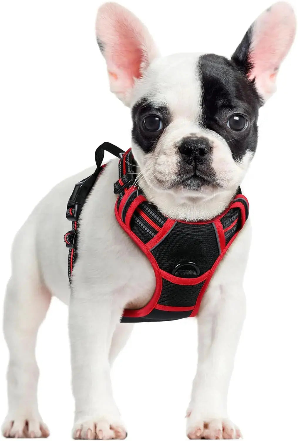 No Pull Dog Harness Reflective Adjustable Oxford Vest Dogs Control (All Sizes) Wags & Whiskers Pet Supply