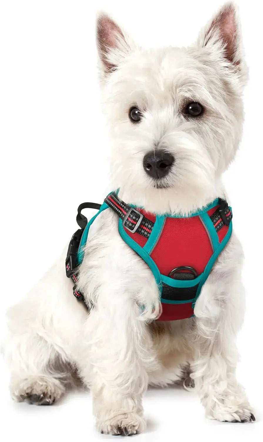 No Pull Dog Harness Reflective Adjustable Oxford Vest Dogs Control (All Sizes) Wags & Whiskers Pet Supply