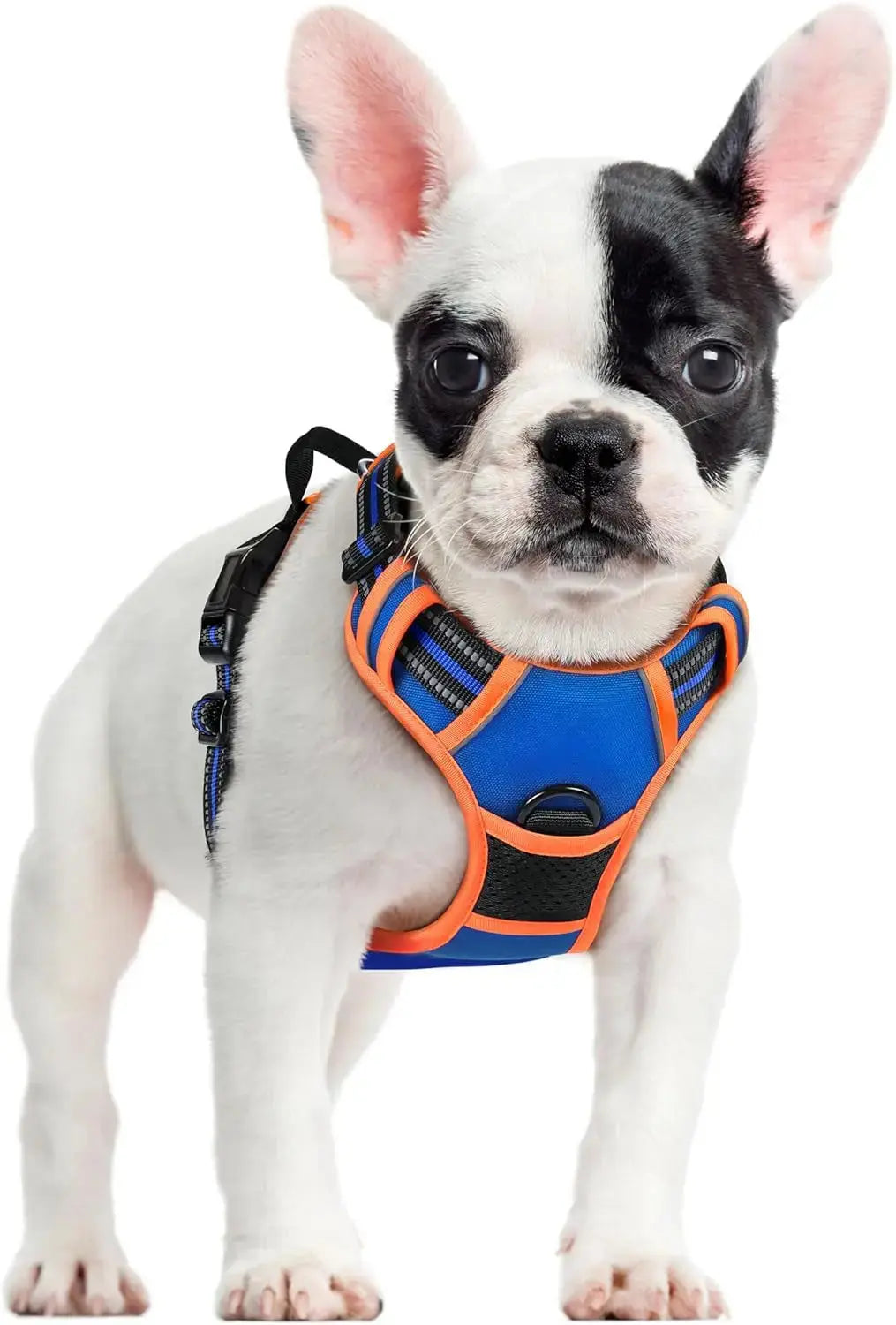 No Pull Dog Harness Reflective Adjustable Oxford Vest Dogs Control (All Sizes) Wags & Whiskers Pet Supply