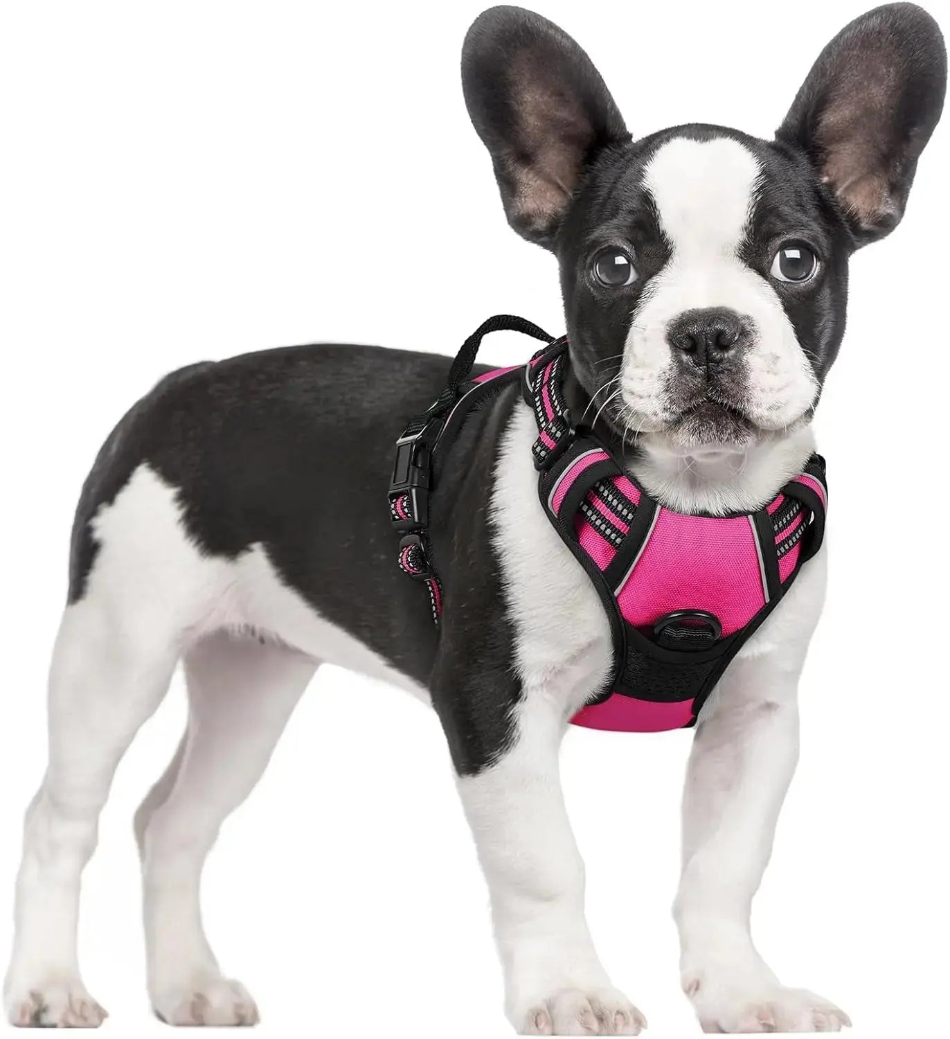 No Pull Dog Harness Reflective Adjustable Oxford Vest Dogs Control (All Sizes) Wags & Whiskers Pet Supply
