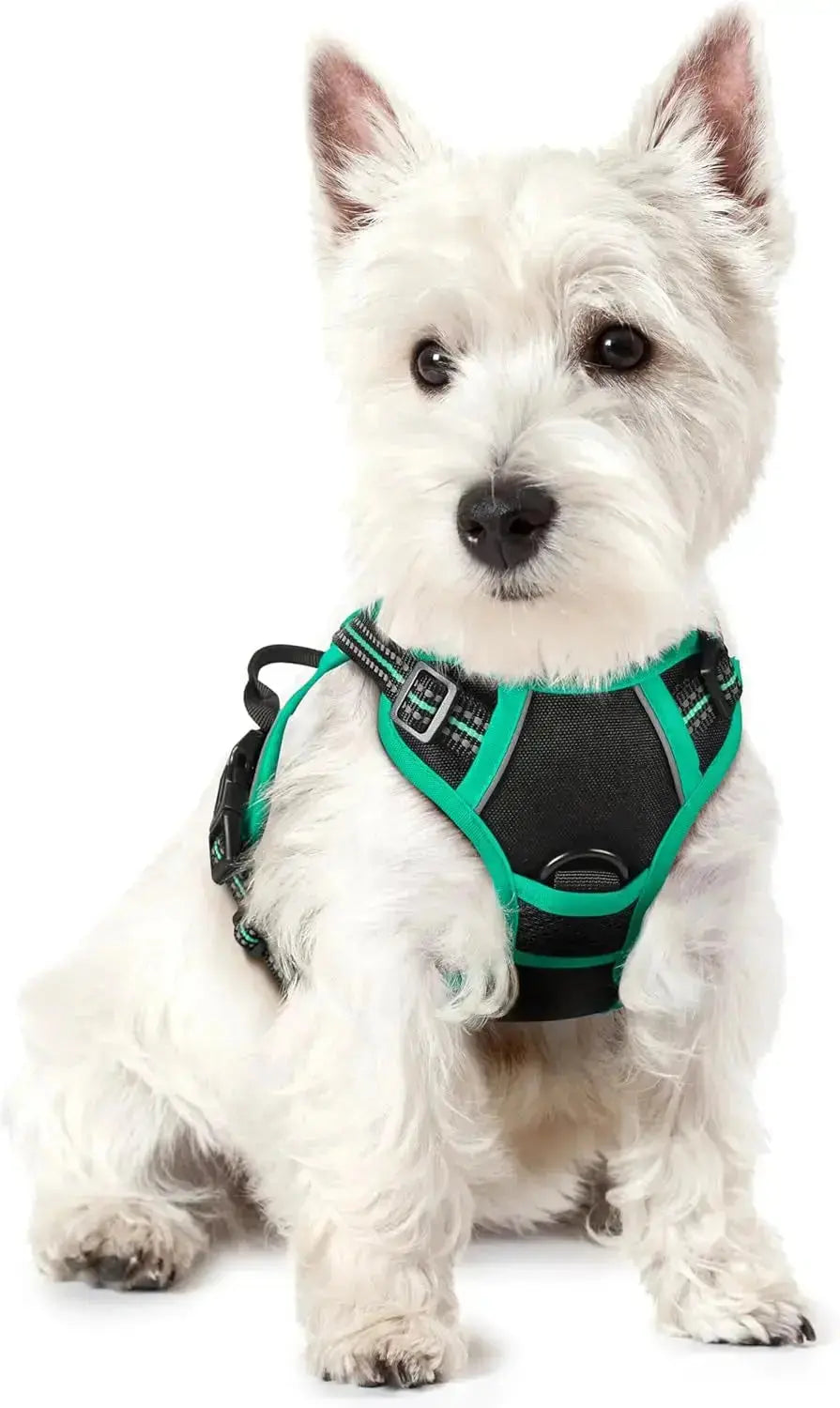 No Pull Dog Harness Reflective Adjustable Oxford Vest Dogs Control (All Sizes) Wags & Whiskers Pet Supply