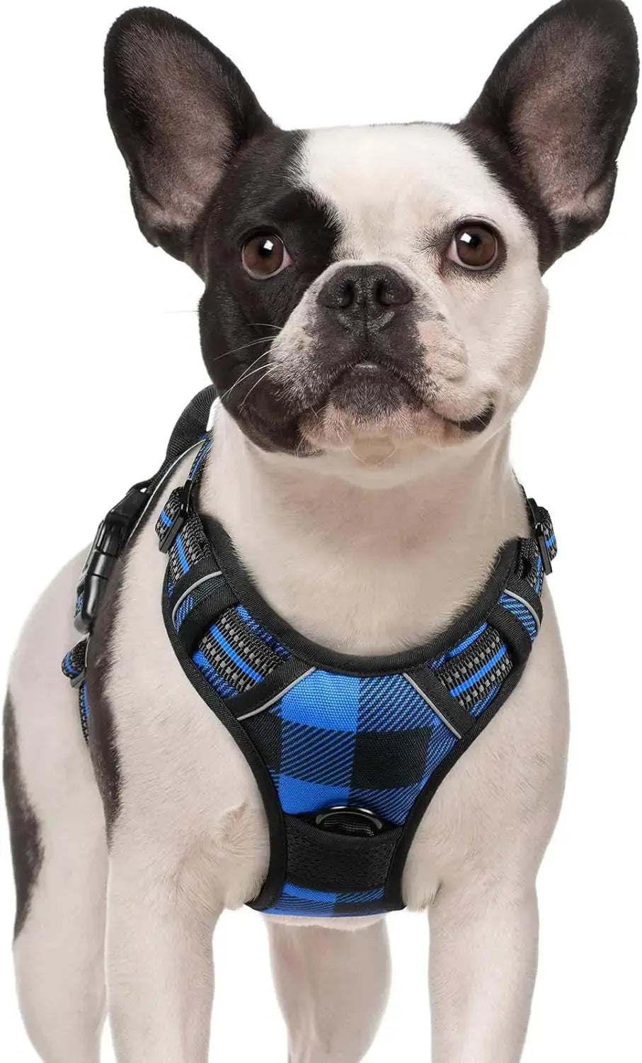 No Pull Dog Harness Reflective Adjustable Oxford Vest Dogs Control (All Sizes) Wags & Whiskers Pet Supply