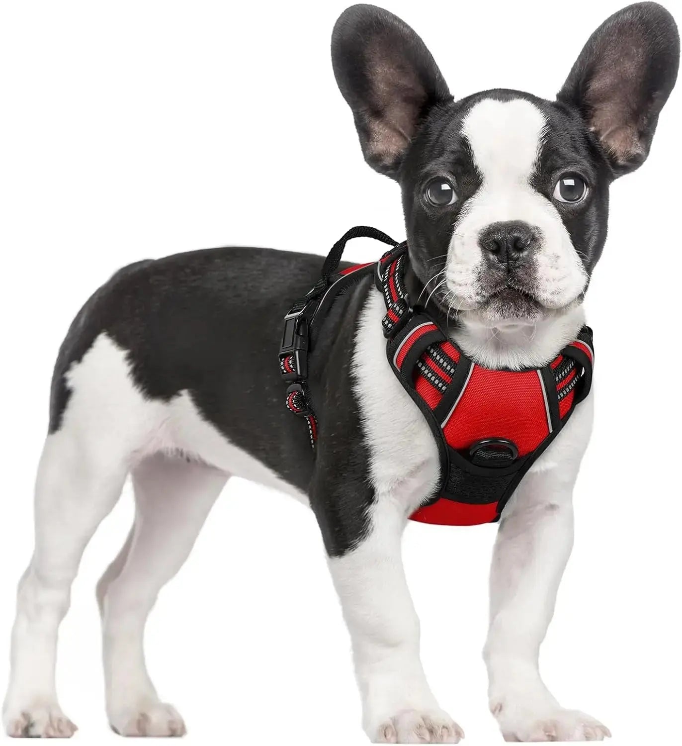 No Pull Dog Harness Reflective Adjustable Oxford Vest Dogs Control (All Sizes) Wags & Whiskers Pet Supply