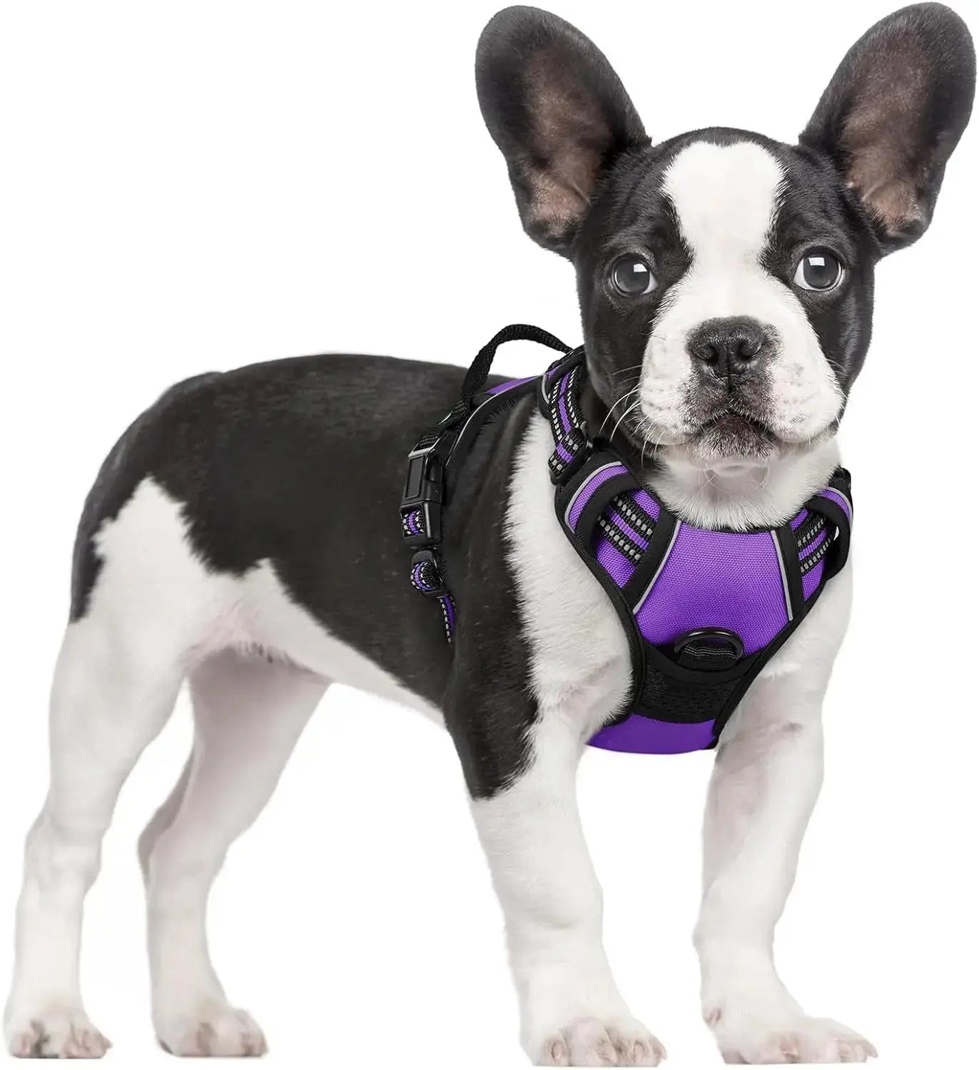 No Pull Dog Harness Reflective Adjustable Oxford Vest Dogs Control (All Sizes) Wags & Whiskers Pet Supply