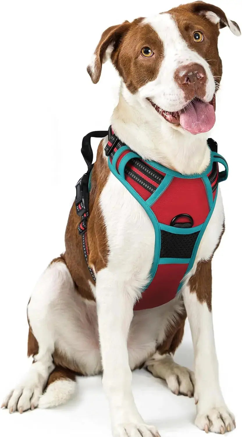 No Pull Dog Harness Reflective Adjustable Oxford Vest Dogs Control (All Sizes) Wags & Whiskers Pet Supply