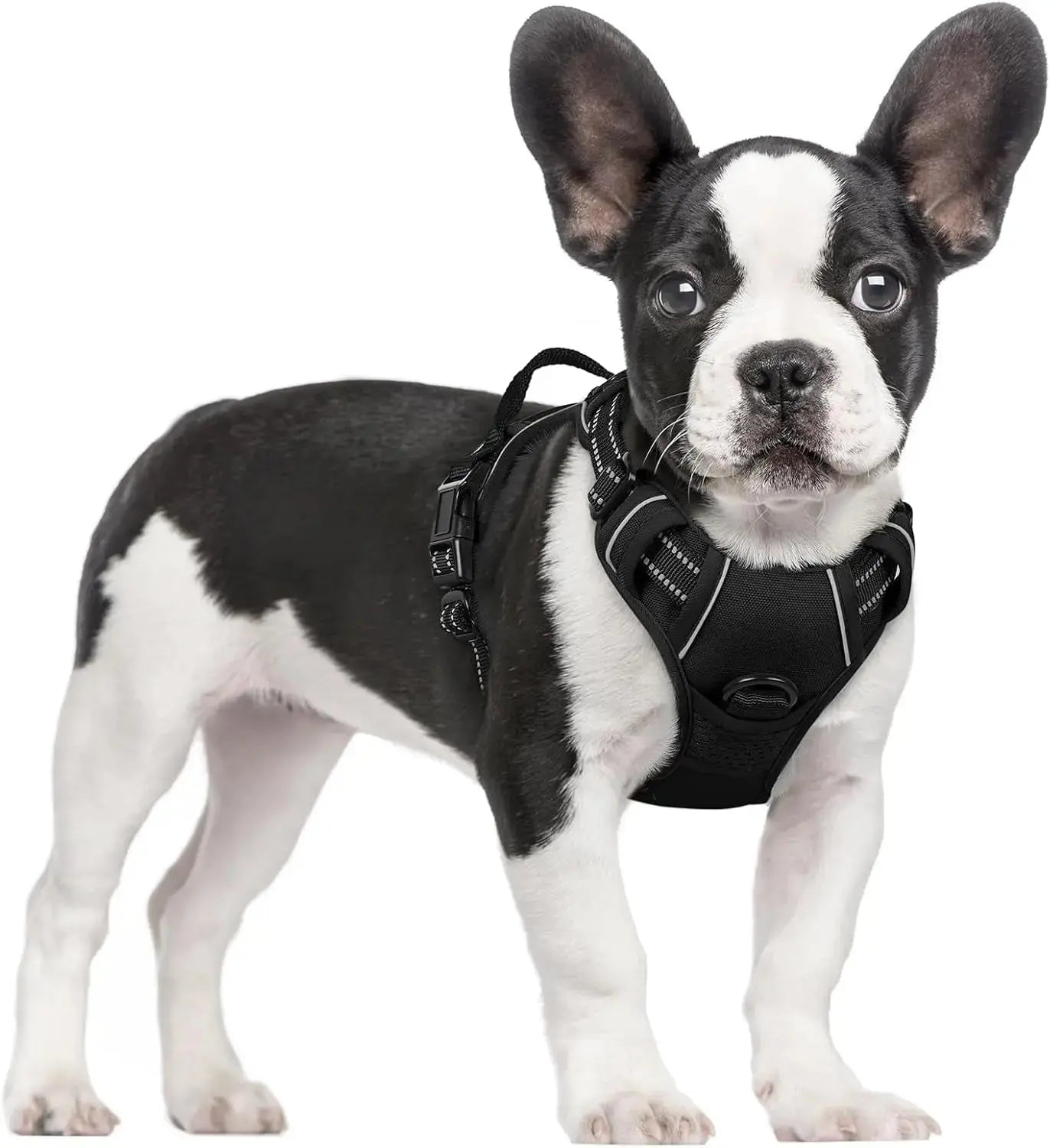 No Pull Dog Harness Reflective Adjustable Oxford Vest Dogs Control (All Sizes) Wags & Whiskers Pet Supply