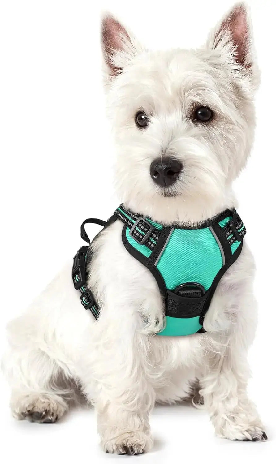 No Pull Dog Harness Reflective Adjustable Oxford Vest Dogs Control (All Sizes) Wags & Whiskers Pet Supply
