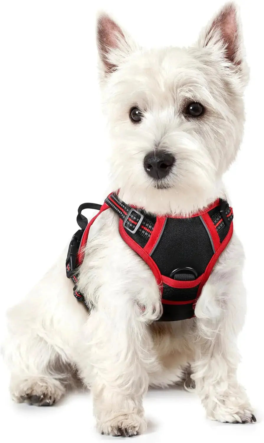 No Pull Dog Harness Reflective Adjustable Oxford Vest Dogs Control (All Sizes) Wags & Whiskers Pet Supply