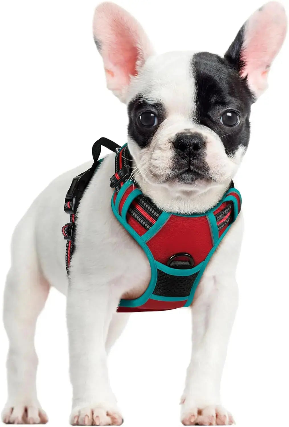 No Pull Dog Harness Reflective Adjustable Oxford Vest Dogs Control (All Sizes) Wags & Whiskers Pet Supply
