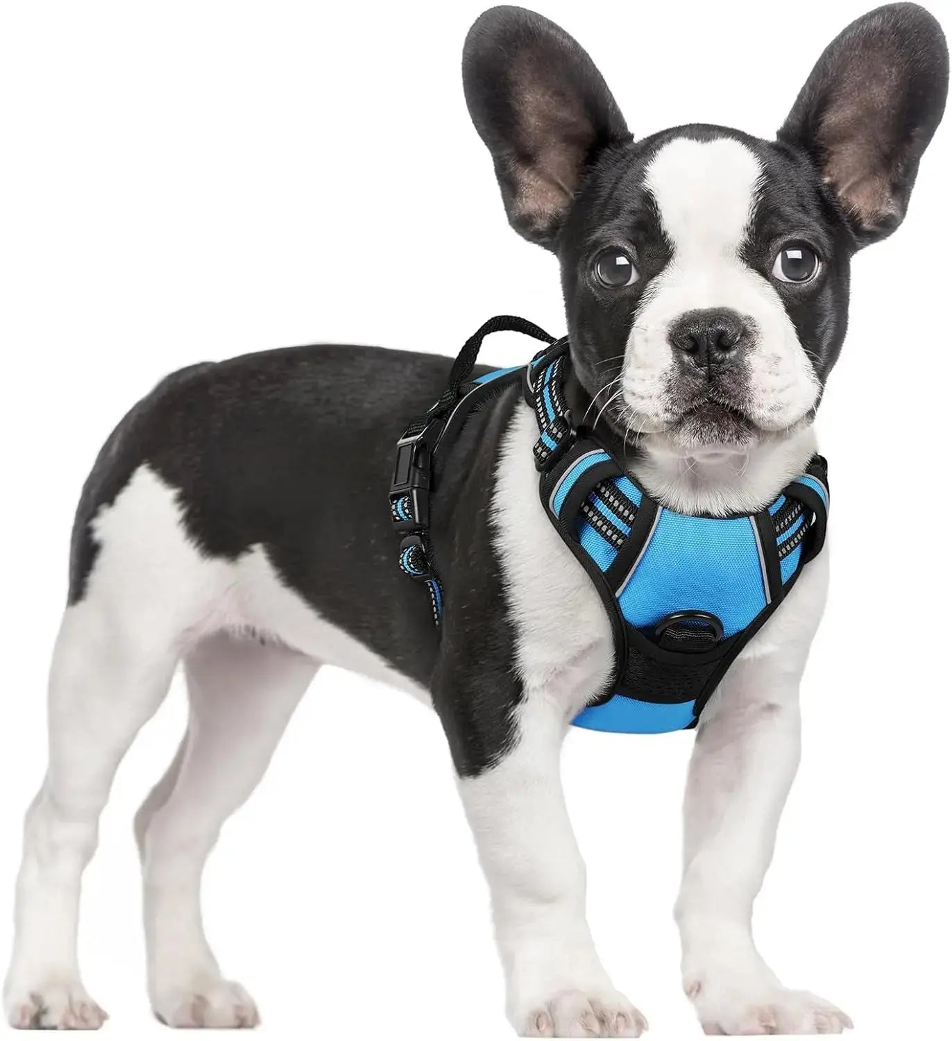 No Pull Dog Harness Reflective Adjustable Oxford Vest Dogs Control (All Sizes) Wags & Whiskers Pet Supply