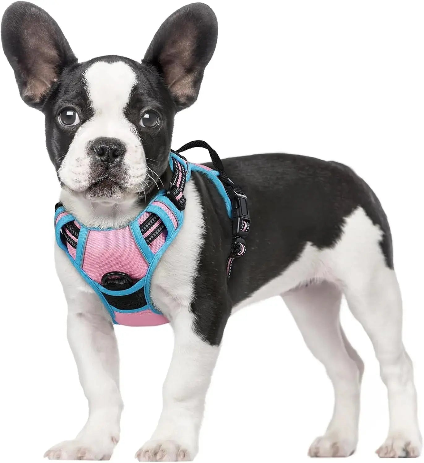 No Pull Dog Harness Reflective Adjustable Oxford Vest Dogs Control (All Sizes) Wags & Whiskers Pet Supply