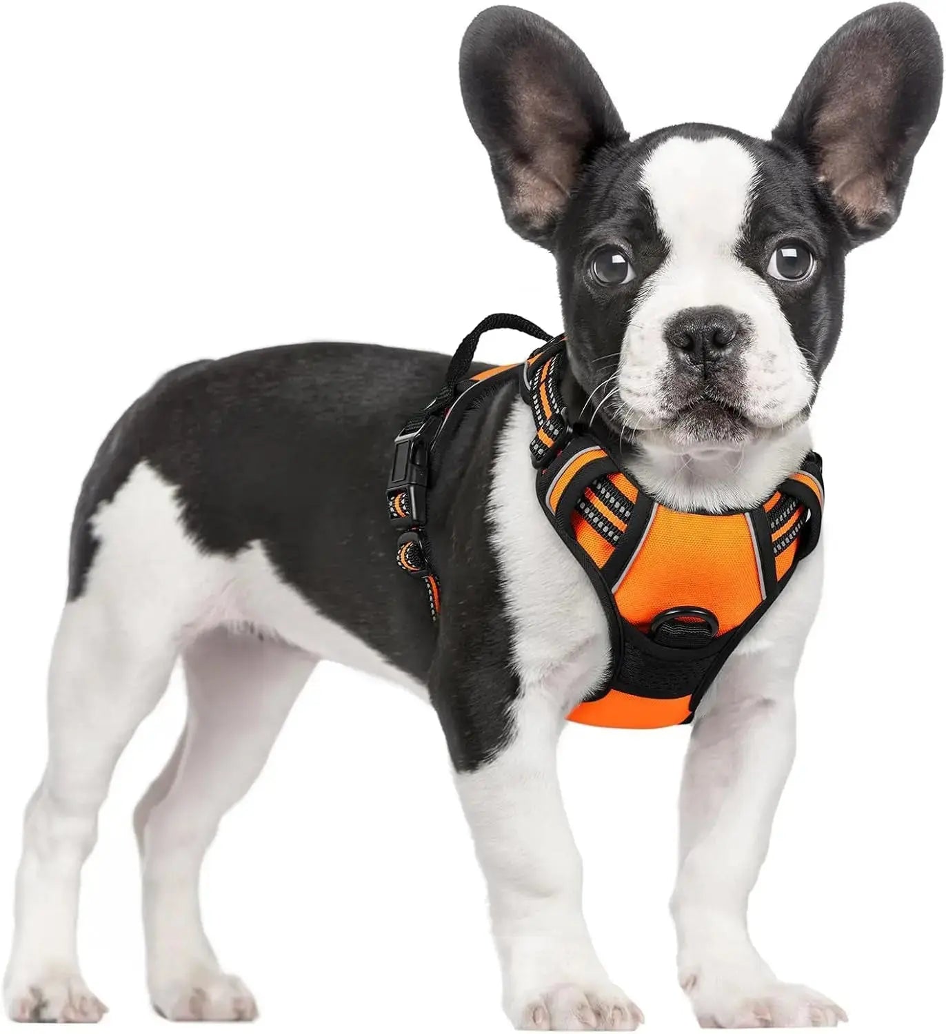 No Pull Dog Harness Reflective Adjustable Oxford Vest Dogs Control (All Sizes) Wags & Whiskers Pet Supply