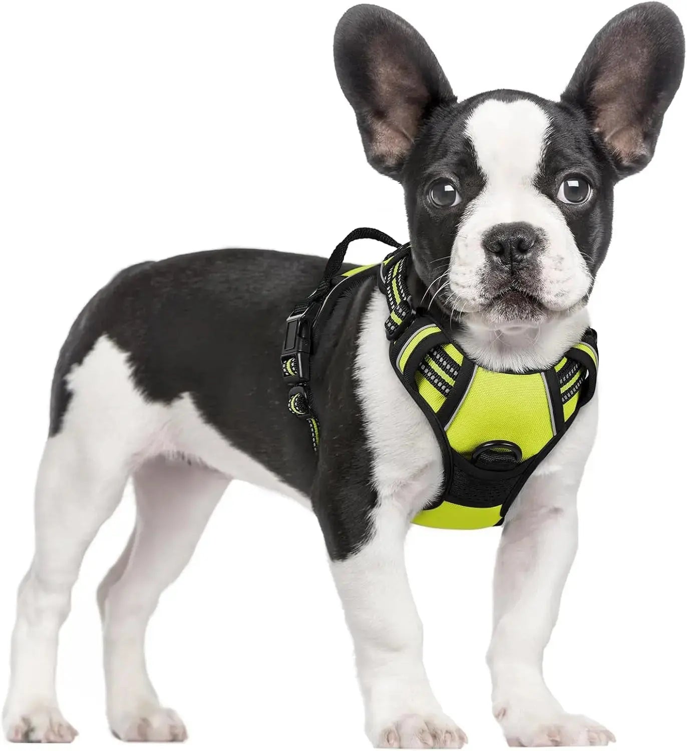No Pull Dog Harness Reflective Adjustable Oxford Vest Dogs Control (All Sizes) Wags & Whiskers Pet Supply