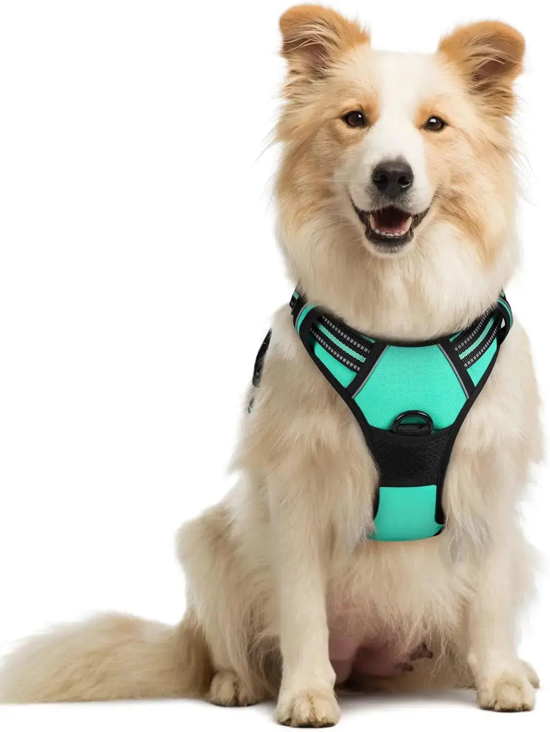 No Pull Dog Harness Reflective Adjustable Oxford Vest Dogs Control (All Sizes) Wags & Whiskers Pet Supply