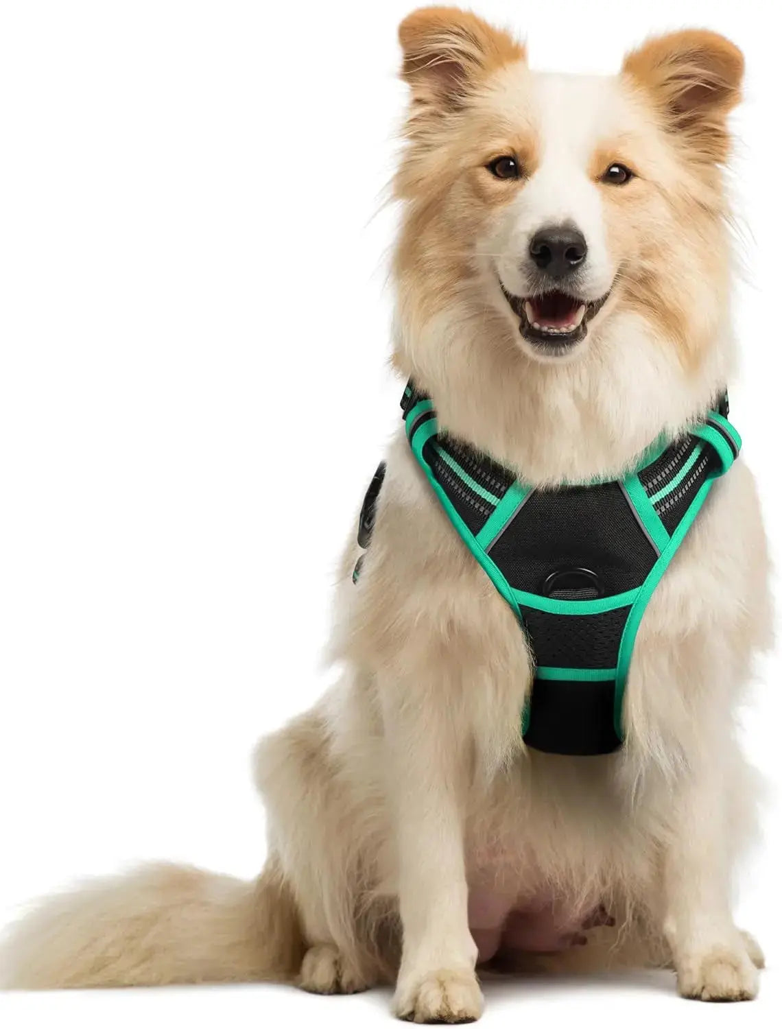 No Pull Dog Harness Reflective Adjustable Oxford Vest Dogs Control (All Sizes) Wags & Whiskers Pet Supply