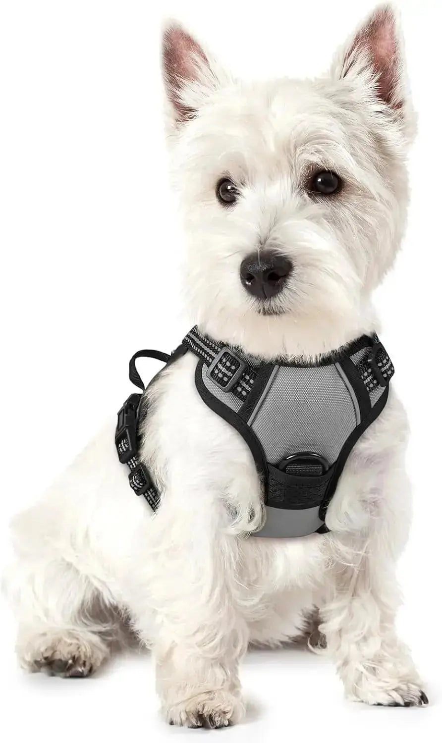 No Pull Dog Harness Reflective Adjustable Oxford Vest Dogs Control (All Sizes) Wags & Whiskers Pet Supply