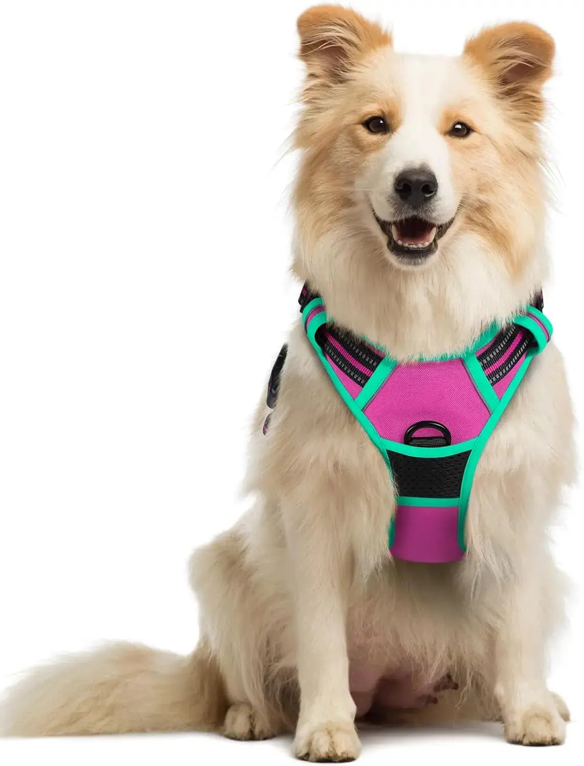 No Pull Dog Harness Reflective Adjustable Oxford Vest Dogs Control (All Sizes) Wags & Whiskers Pet Supply