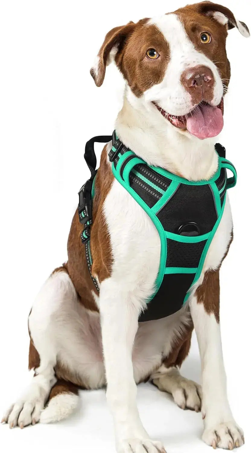 No Pull Dog Harness Reflective Adjustable Oxford Vest Dogs Control (All Sizes) Wags & Whiskers Pet Supply