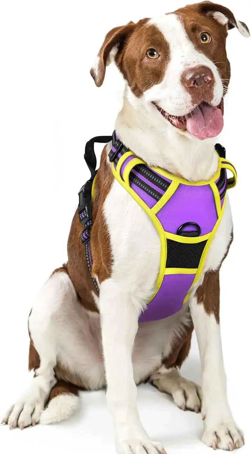 No Pull Dog Harness Reflective Adjustable Oxford Vest Dogs Control (All Sizes) Wags & Whiskers Pet Supply