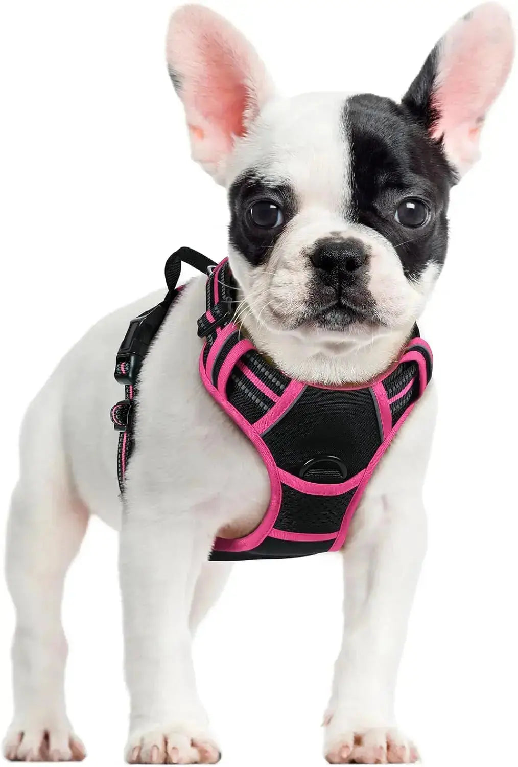 No Pull Dog Harness Reflective Adjustable Oxford Vest Dogs Control (All Sizes) Wags & Whiskers Pet Supply