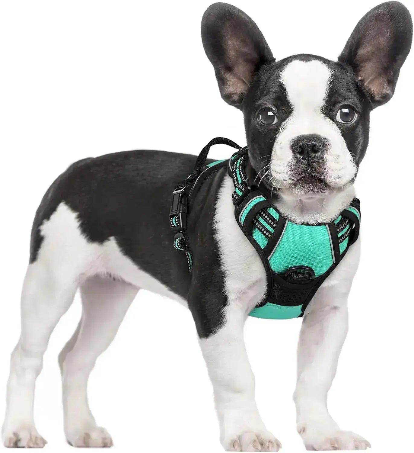 No Pull Dog Harness Reflective Adjustable Oxford Vest Dogs Control (All Sizes) Wags & Whiskers Pet Supply