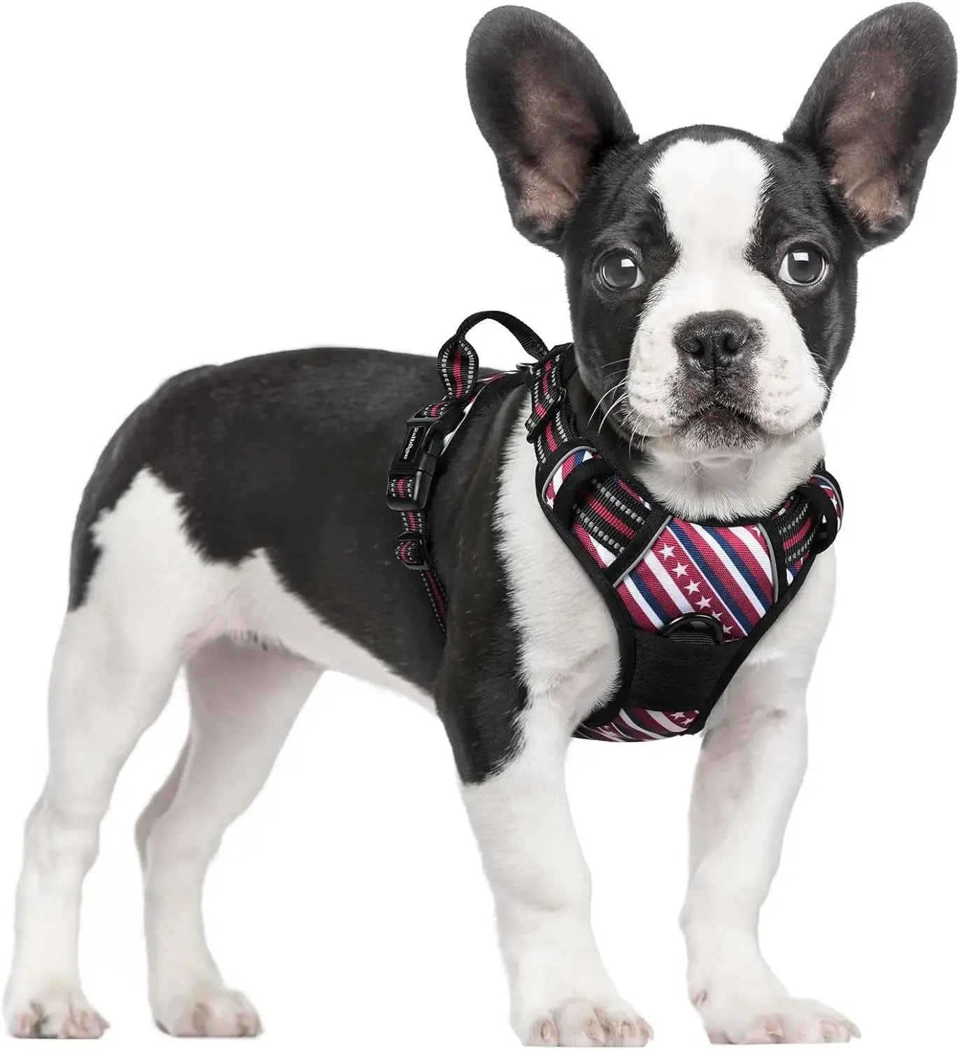 No Pull Dog Harness Reflective Adjustable Oxford Vest Dogs Control (All Sizes) Wags & Whiskers Pet Supply