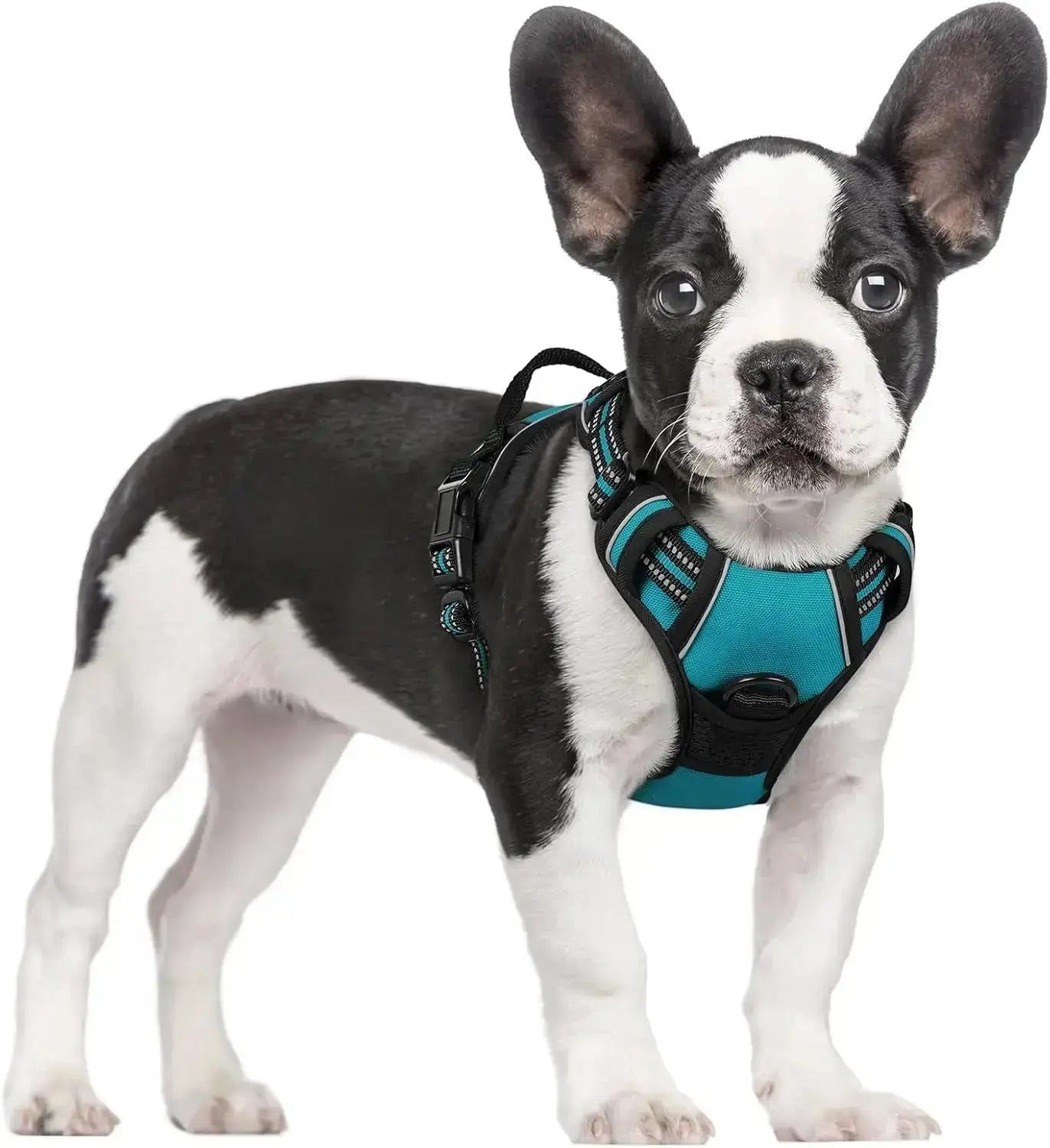 No Pull Dog Harness Reflective Adjustable Oxford Vest Dogs Control (All Sizes) Wags & Whiskers Pet Supply