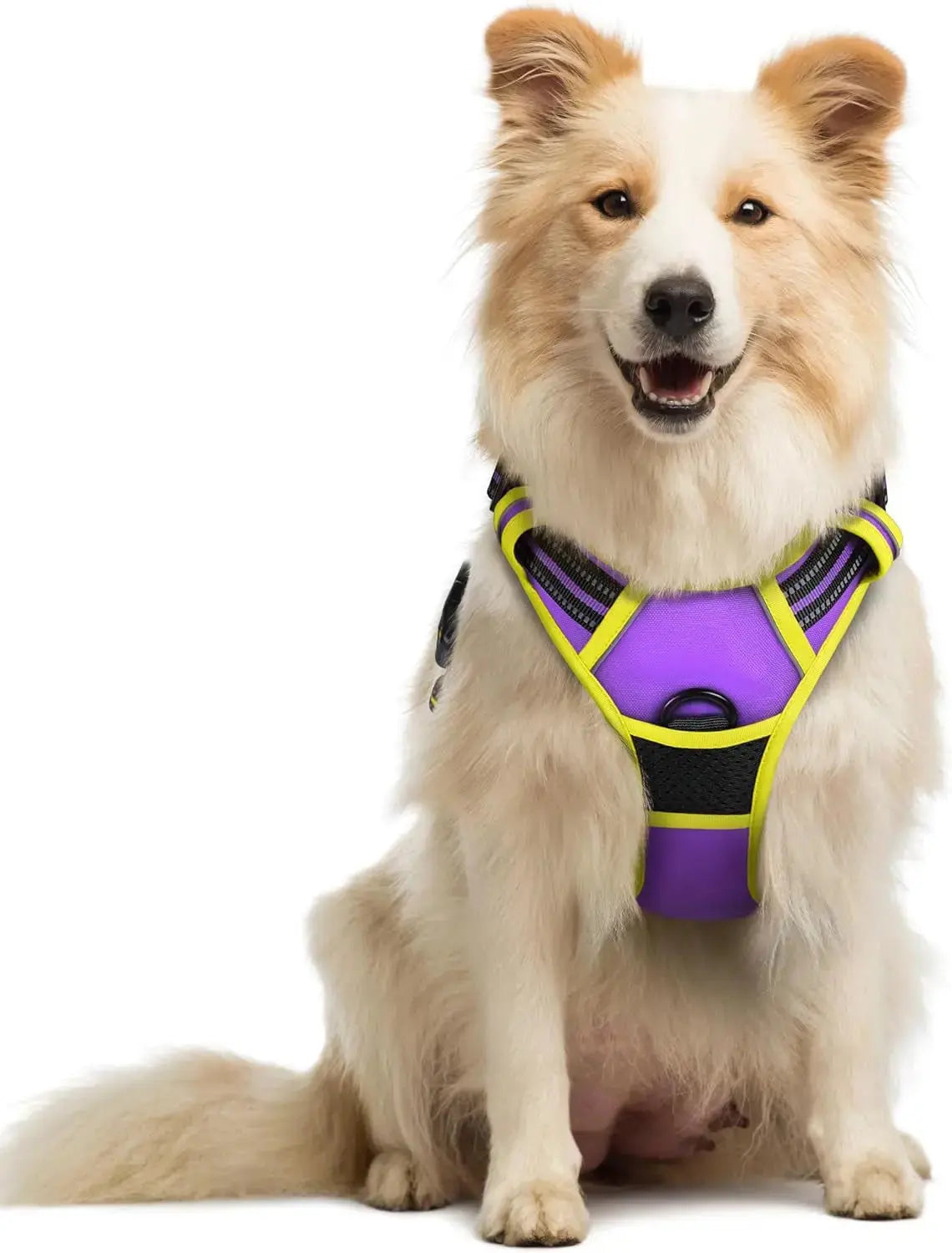 No Pull Dog Harness Reflective Adjustable Oxford Vest Dogs Control (All Sizes) Wags & Whiskers Pet Supply